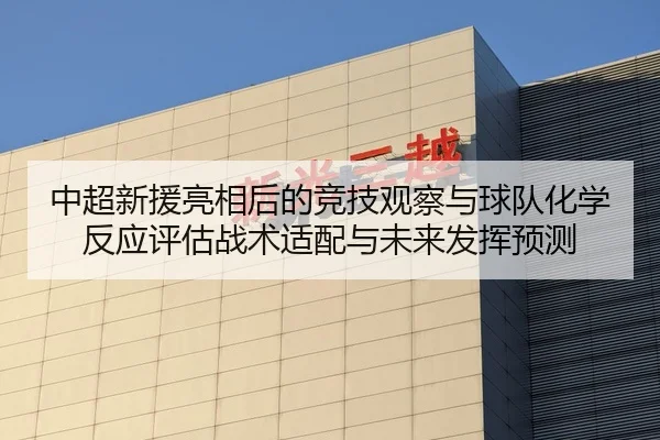 中超新援亮相后的竞技观察与球队化学反应评估战术适配与未来发挥预测